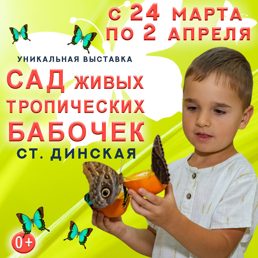 🌴☀Лето заглянет в станицу Динскую | 21.03.2023 | Динская - БезФормата