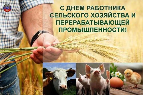 «День работников сельского хозяйства»